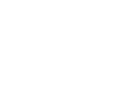 light logo